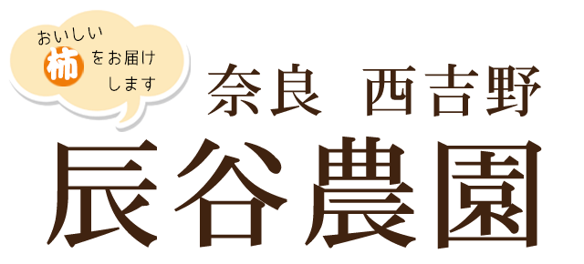 奈良の柿 通販 販売 西吉野から送料無料 辰谷農園 刀根柿 富有柿 江戸柿 つるし柿 冷蔵柿 辰谷農園